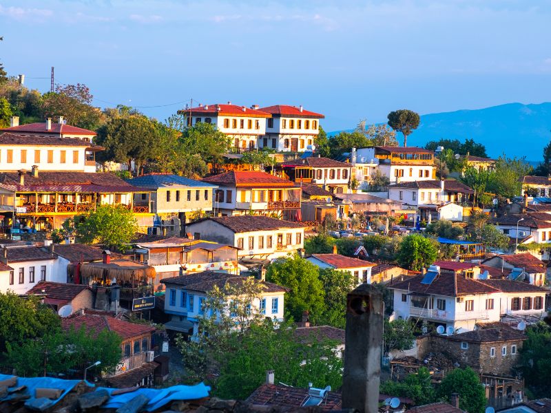 Archaeological Sights of Ephesus